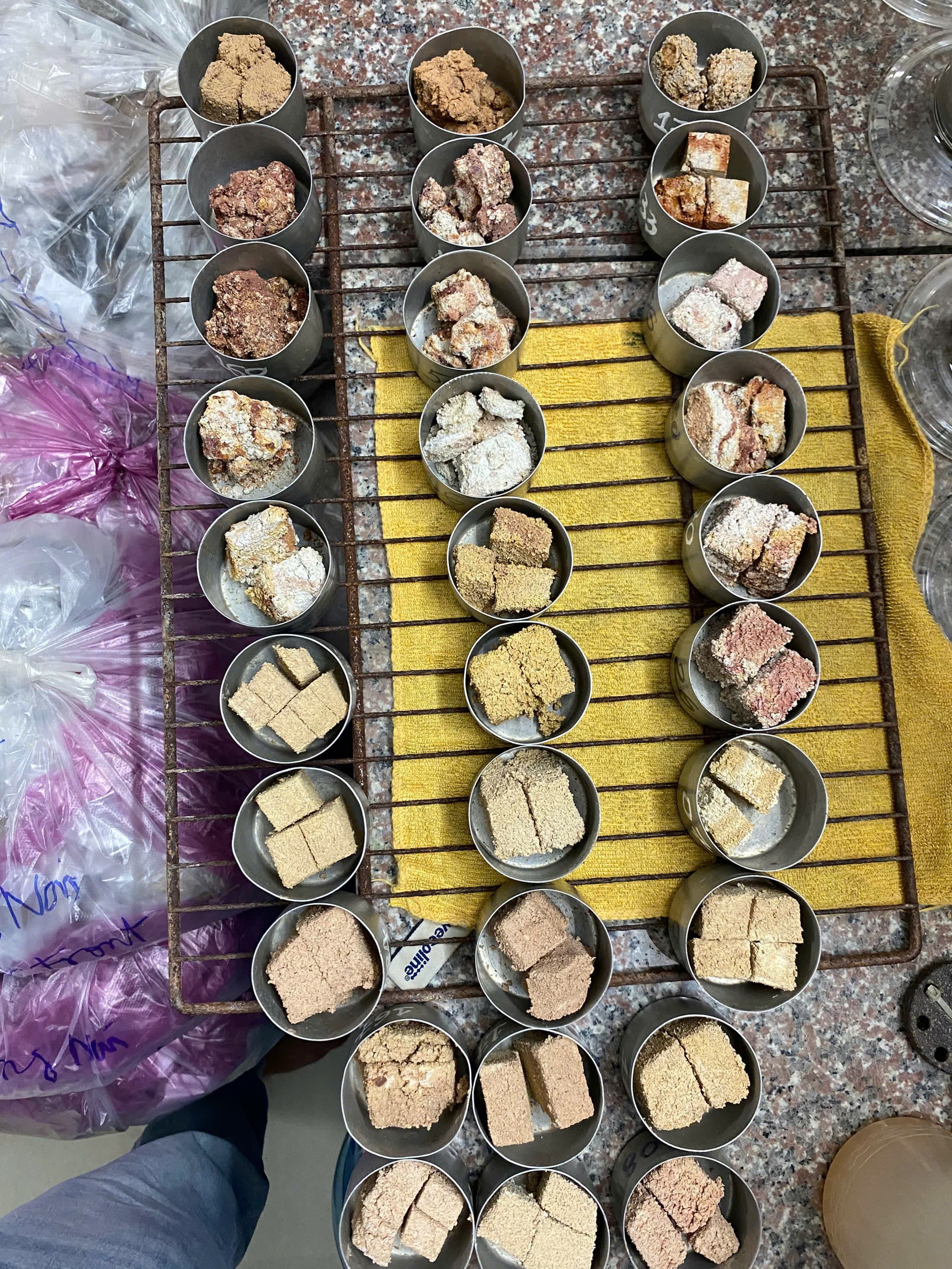 Khảo sát địa chất - địa hình